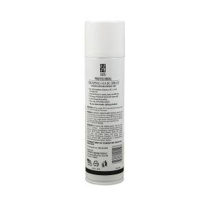 Salon Grafix Professional Super Hold Unscented Shaping Hair Spray 10 Oz. Aerosol Can