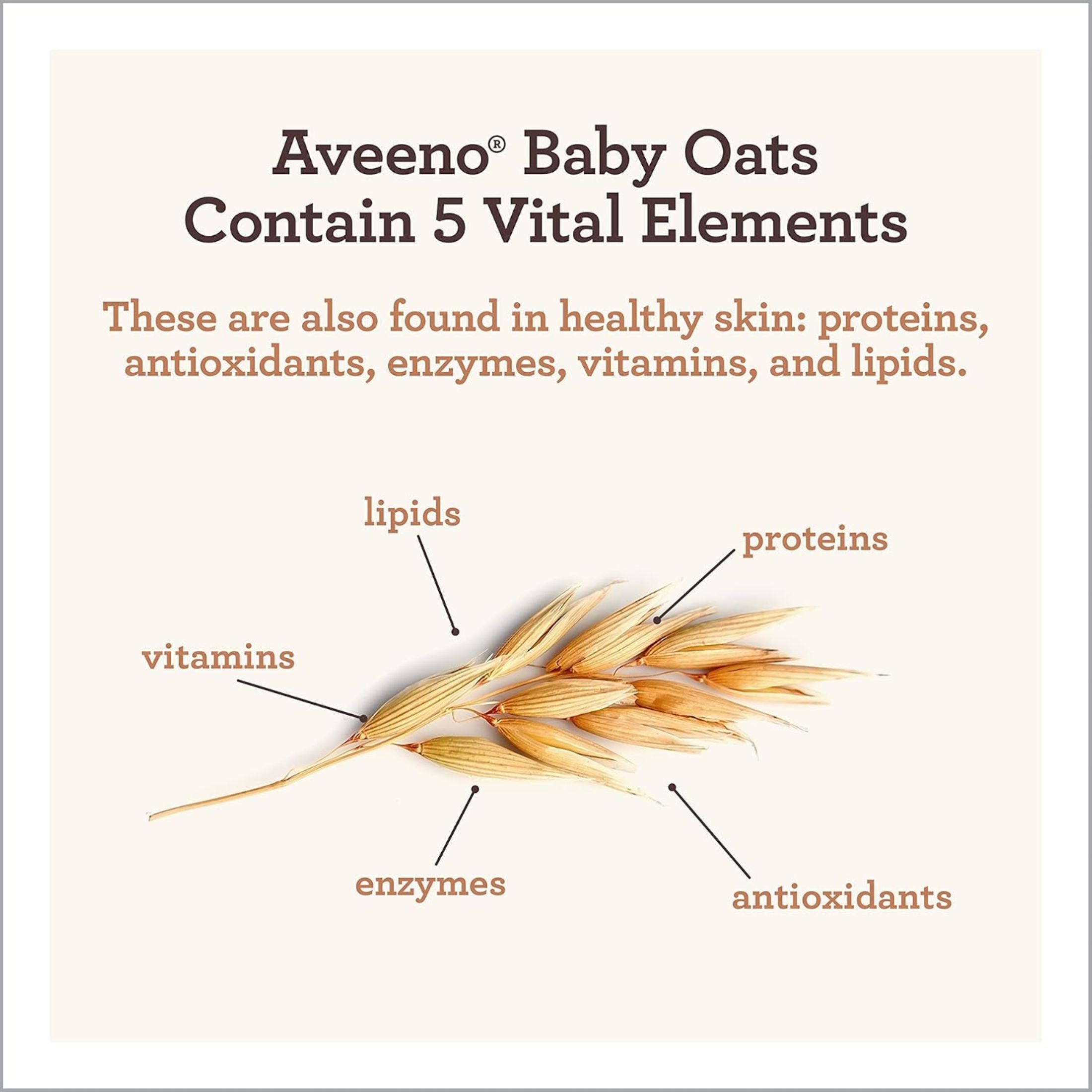 Aveeno Baby Daily Moisture Body Wash & Shampoo - Oat Extract, 8 Fl Oz