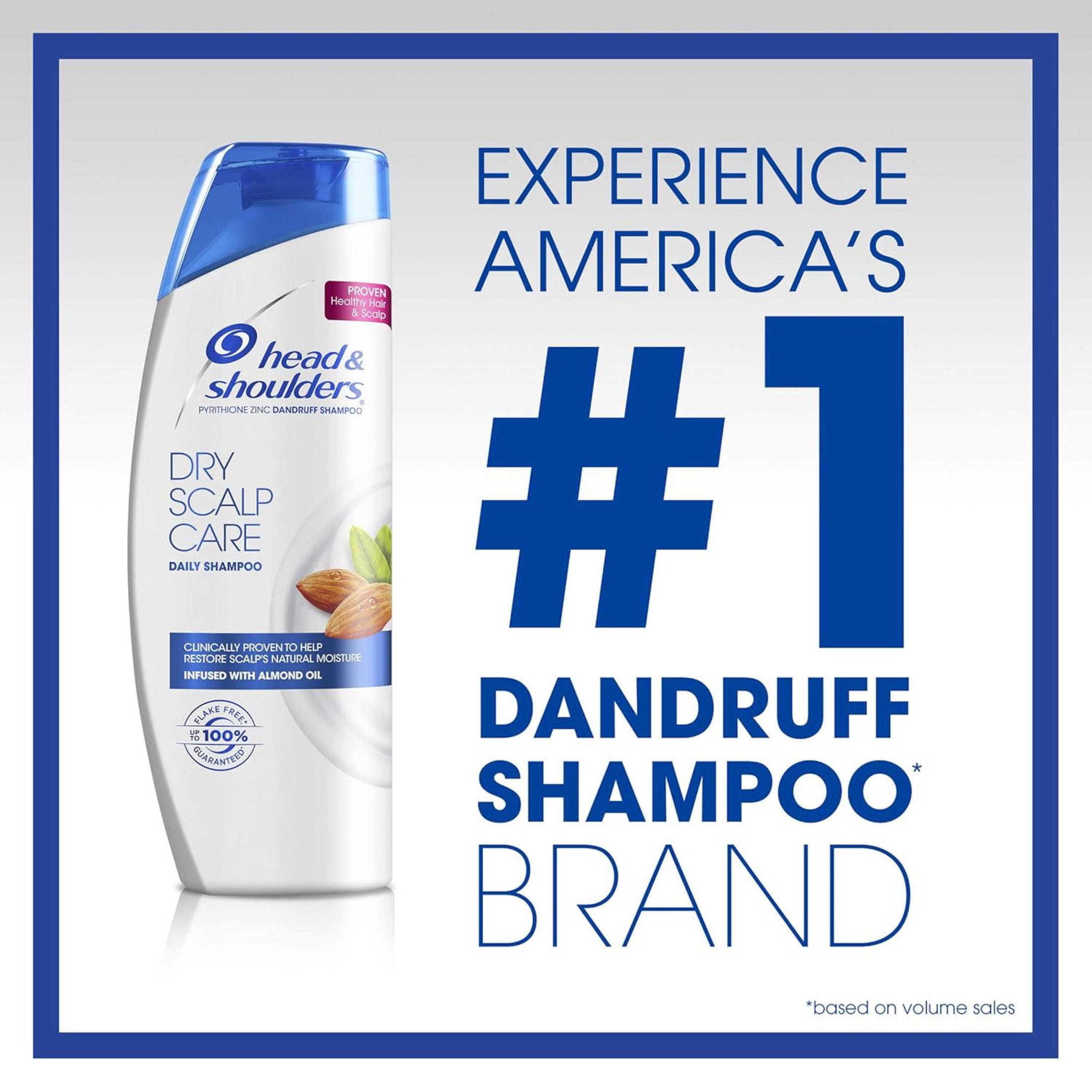Head & Shoulders Shampoo, Daily, Dry Scalp Care 13.5 Fl Oz
