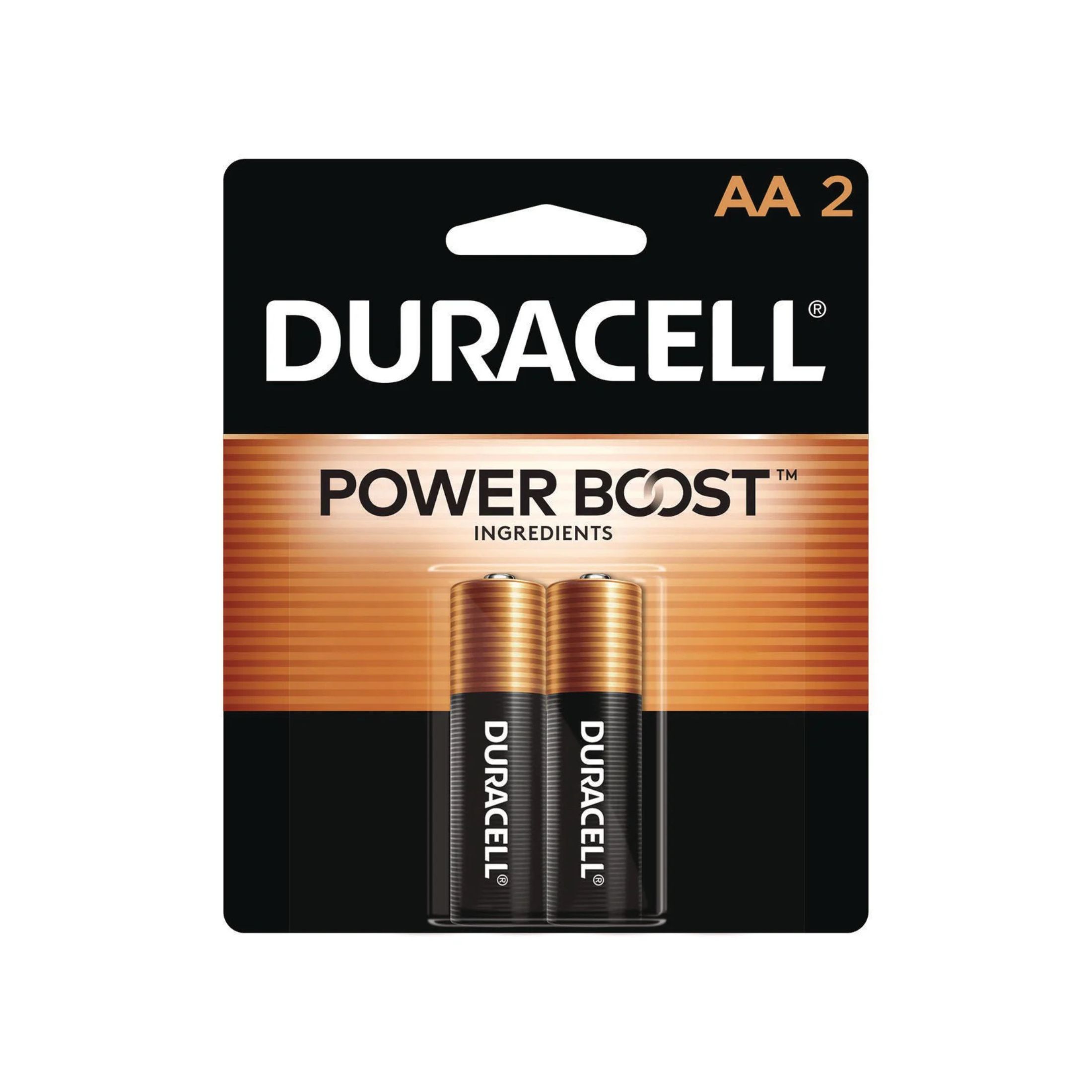Duracell Power Boost CopperTop Alkaline AA Batteries