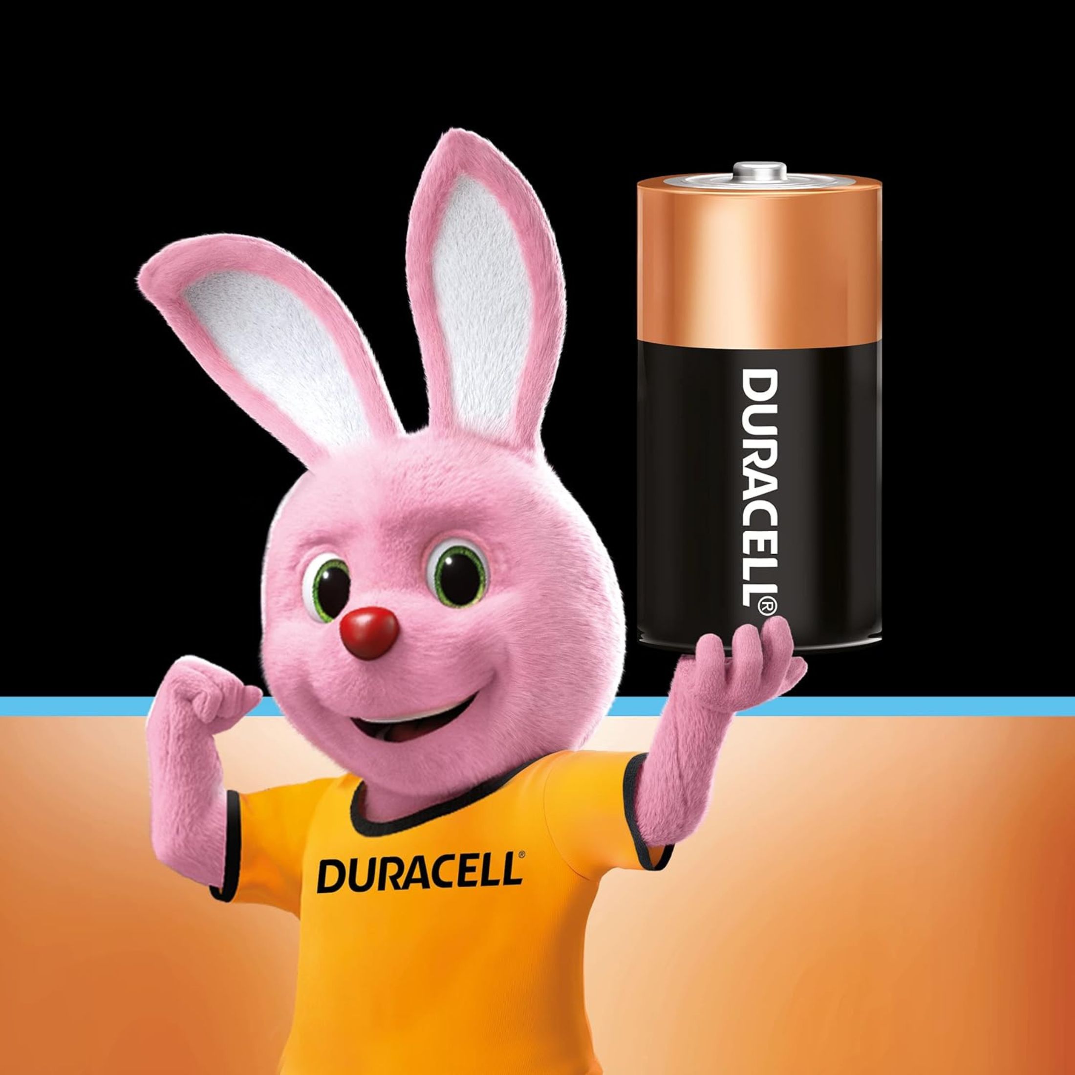 Duracell CopperTop Alkaline C Batteries 2/Pack MN1