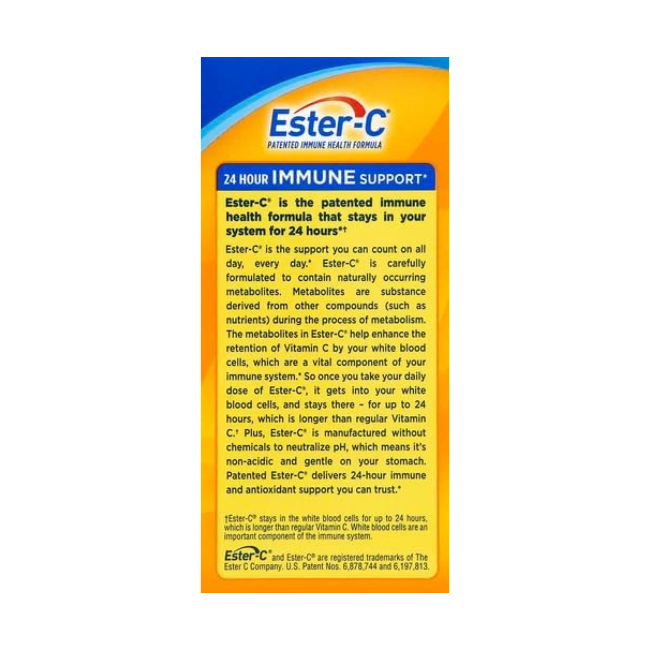 Ester-C Immune Support, 24 Hour, 500 Mg, Vegetarian Coated Tablets