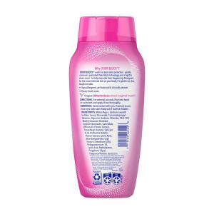 Vagisil Odor Block Daily Intimate Feminine Wash, 12 Fl Oz