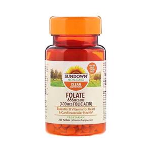 Sundown Naturals Folic Acid 400 Mcg With Vitamin B Supplement Tablets 250