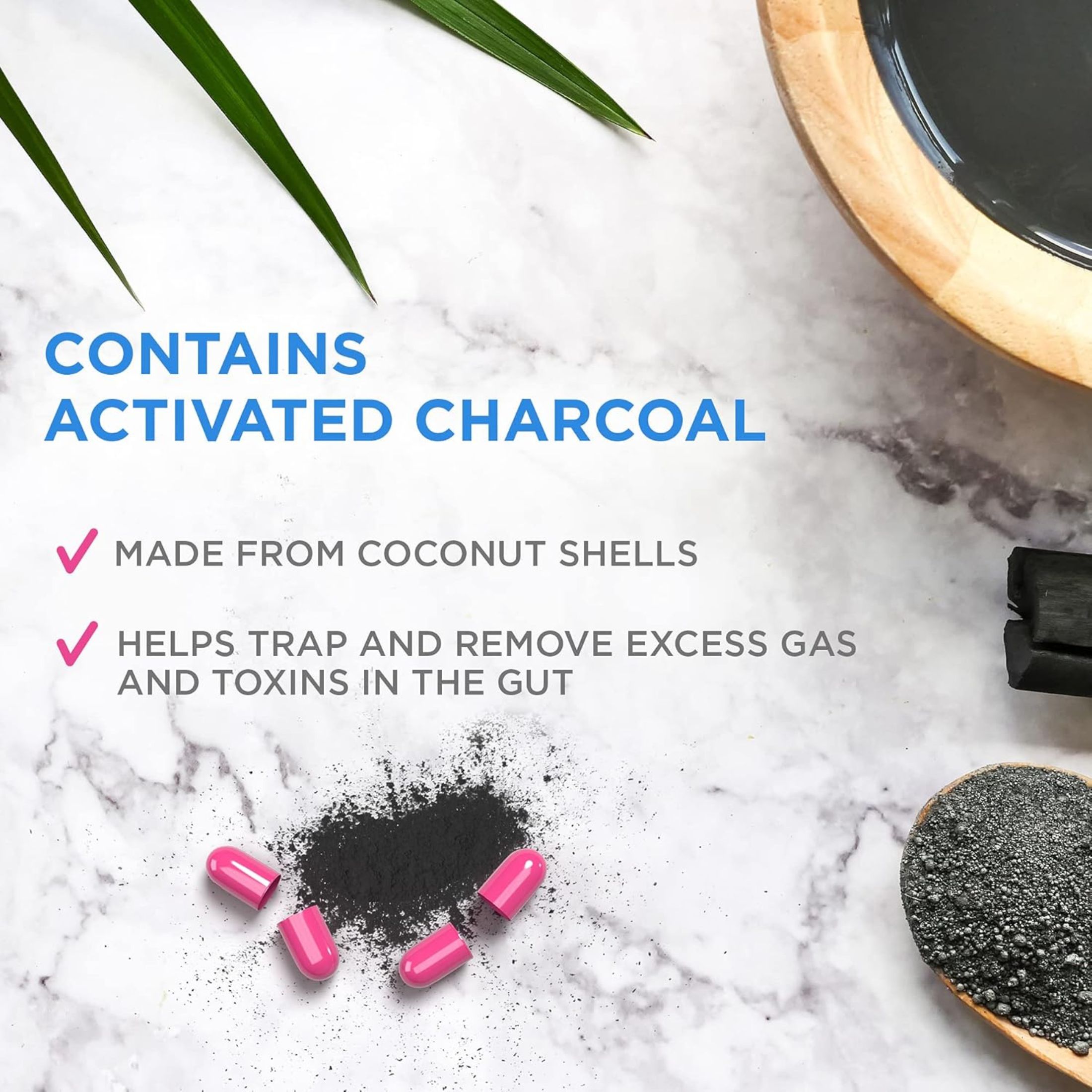 Charcocaps Anti-Gas Formula Capsules 100 Ea