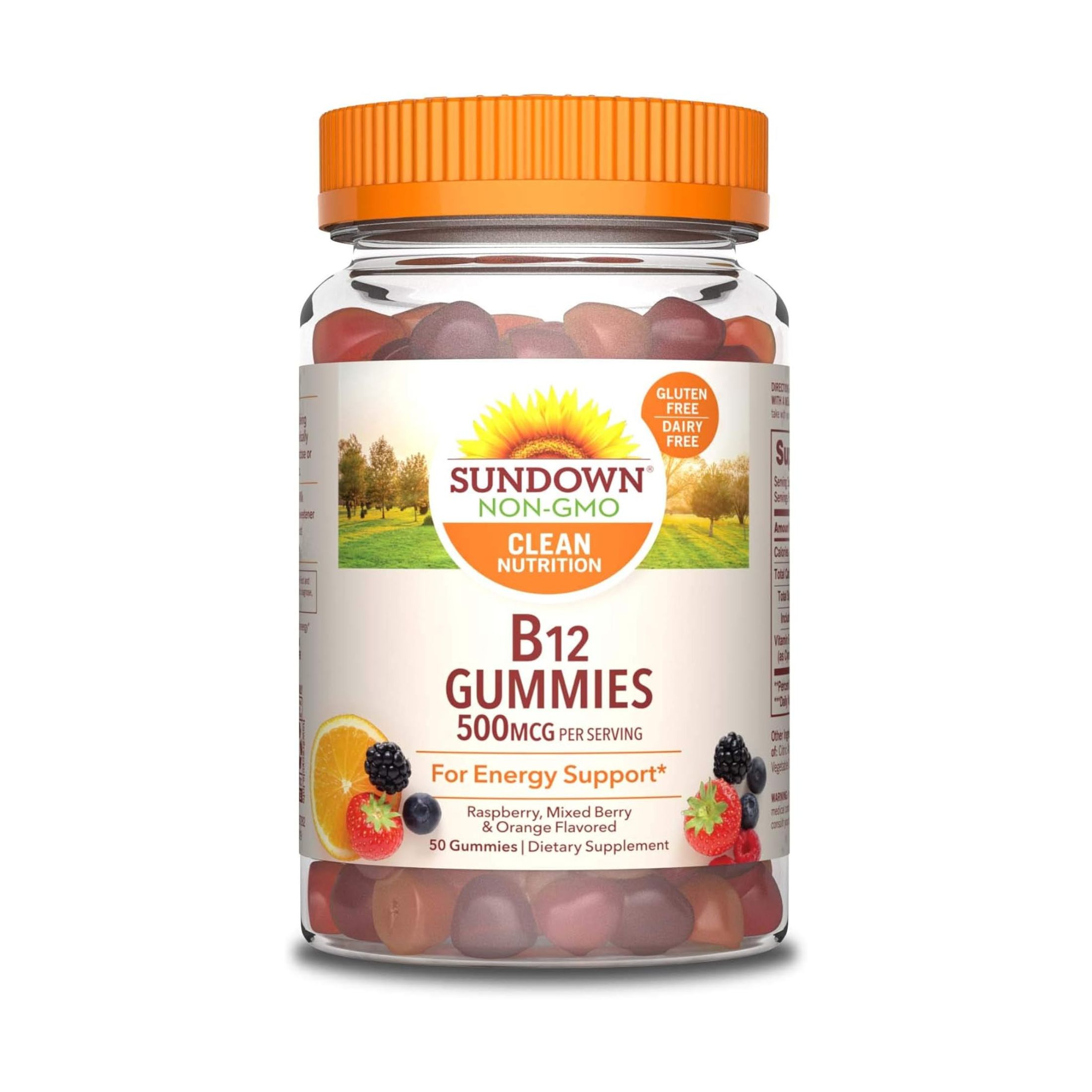 Sundown Naturals B12 Gummies 500 Mcg
