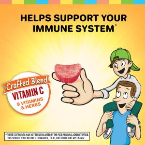 Airborne Kids Assorted Fruit Flavors Immune Support 21 Gummies