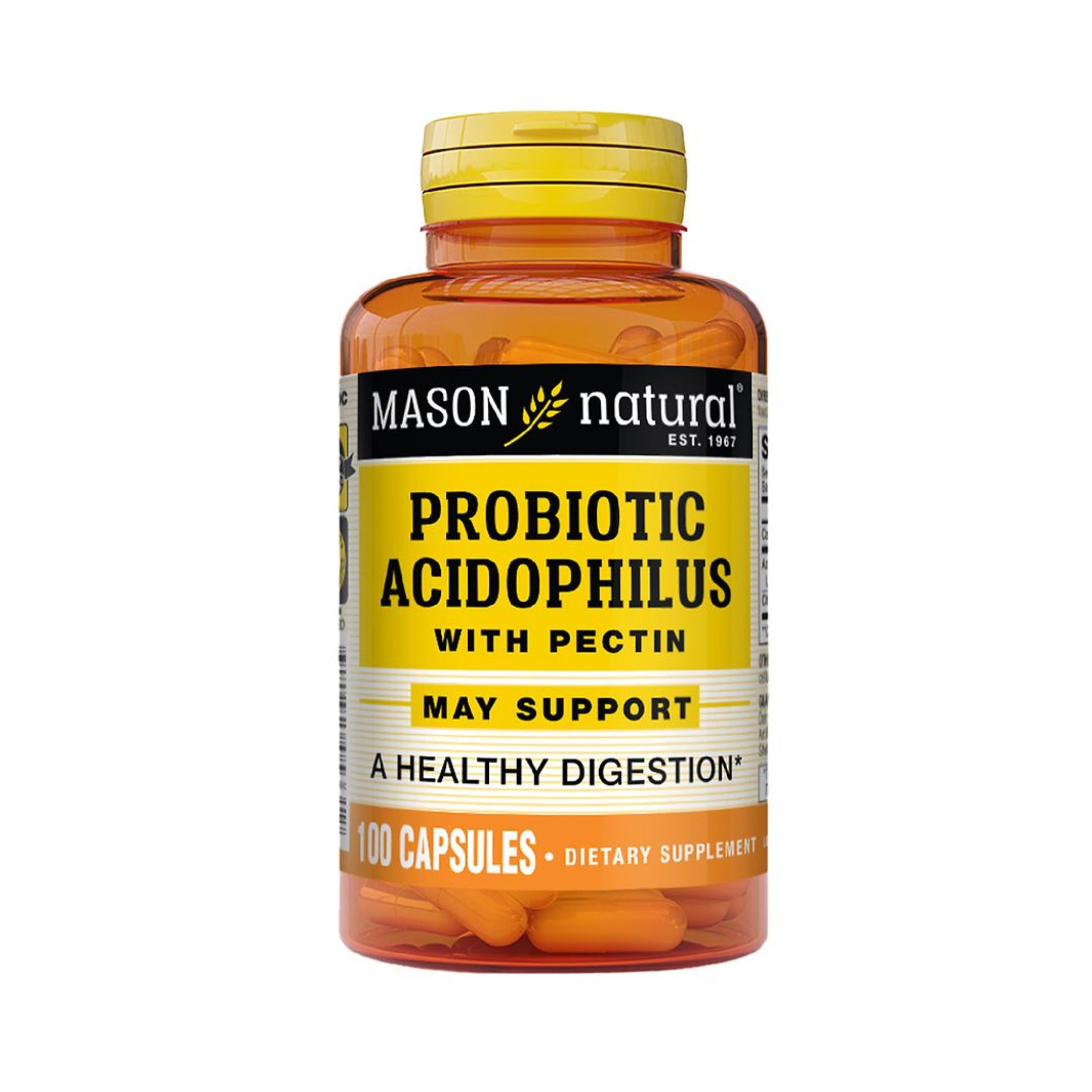 Mason Natural Probiotic Acidophilus With Pectin, 100 Capsules