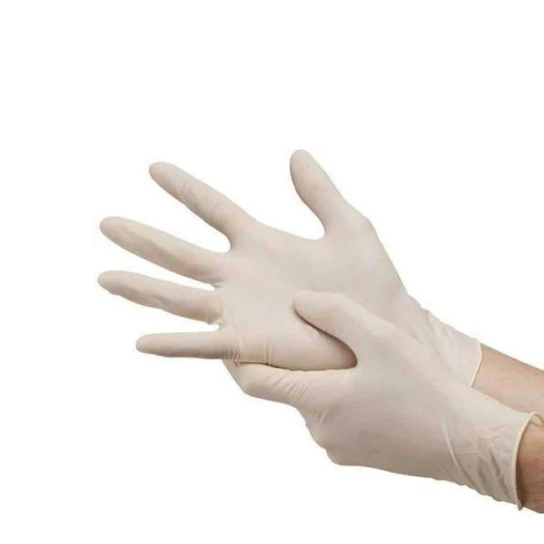 Dynarex | Amercare Latex Powder Free Glove
