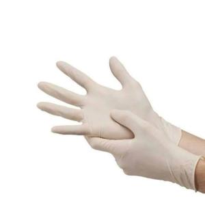 Dynarex | Amercare Latex Powder Free Glove