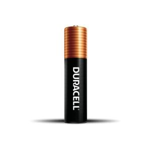 Duracell Coppertop AAA Alkaline Batteries