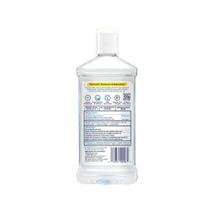 T.N. Dickinson's Witch Hazel - All Natural Astringent 16.00 Fl Oz