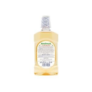 Dr Tichenors Antiseptic Mouthwash, Concentrated Formula, Peppermint