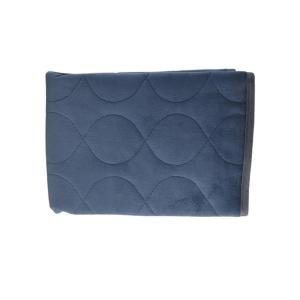 Essential Medical Supply Quik Sorb 20in X 20in Furniture Protector Pad - Blue