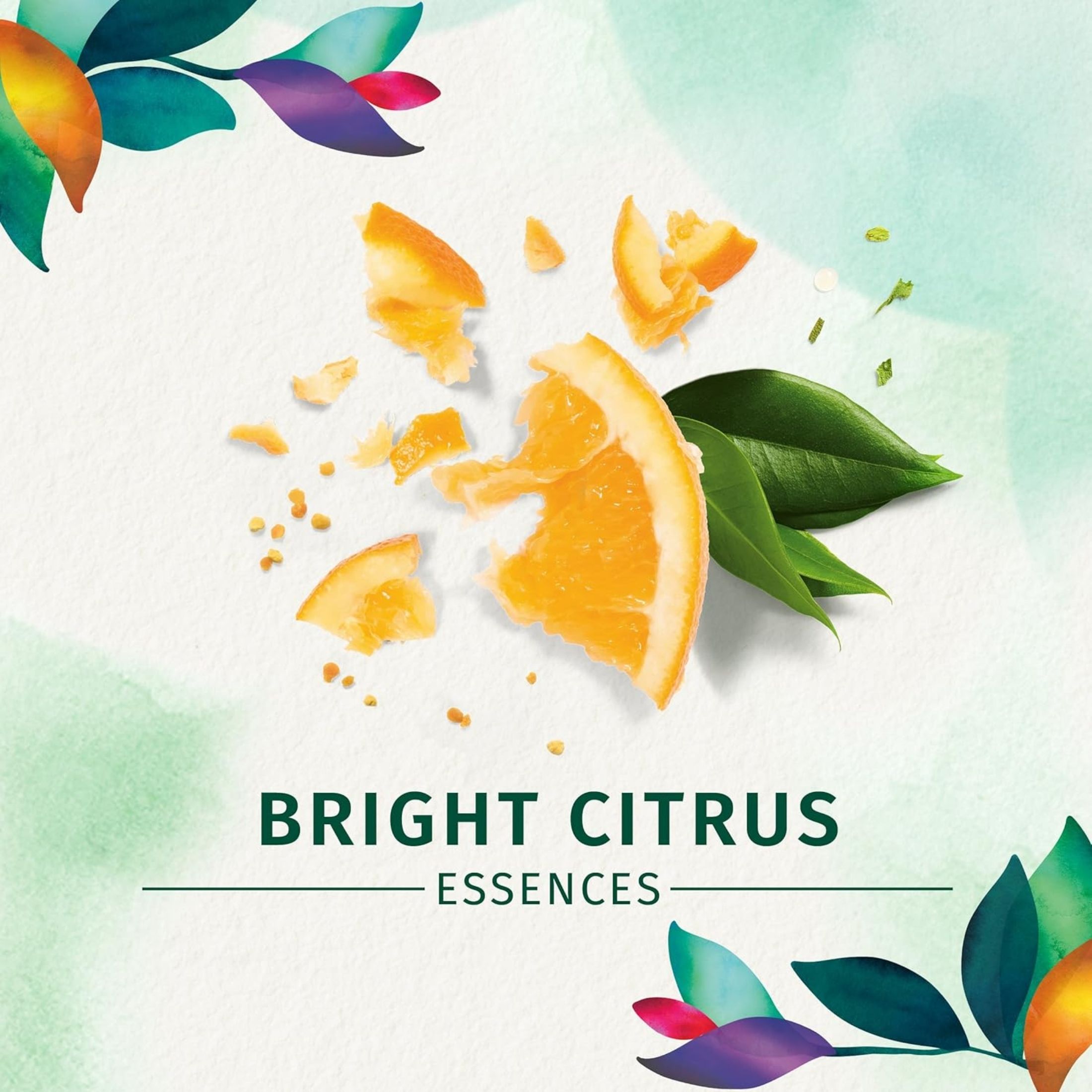 Herbal Essences Body Envy Volumizing Shampoo - Citrus