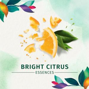 Herbal Essences Body Envy Volumizing Shampoo - Citrus