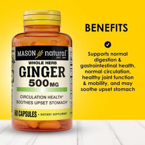 Mason Natural Ginger 500 Mg Premium Herbal Supplement Capsules