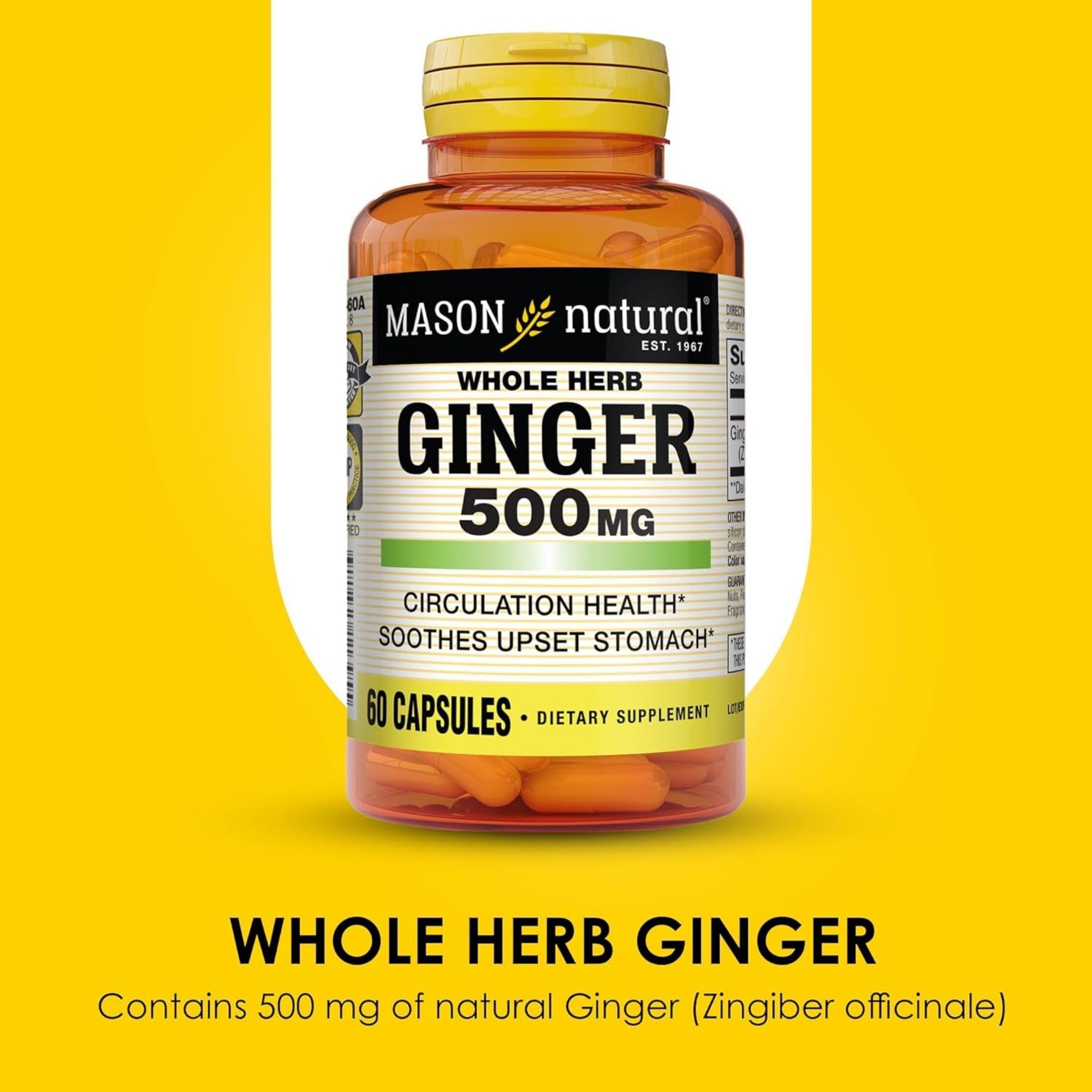 Mason Natural Ginger 500 Mg Premium Herbal Supplement Capsules