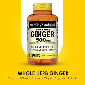 Mason Natural Ginger 500 Mg Premium Herbal Supplement Capsules