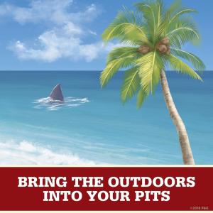 Old Spice Deodorant, Fiji With Palm Tree, Aluminum Free - 3 Ounce