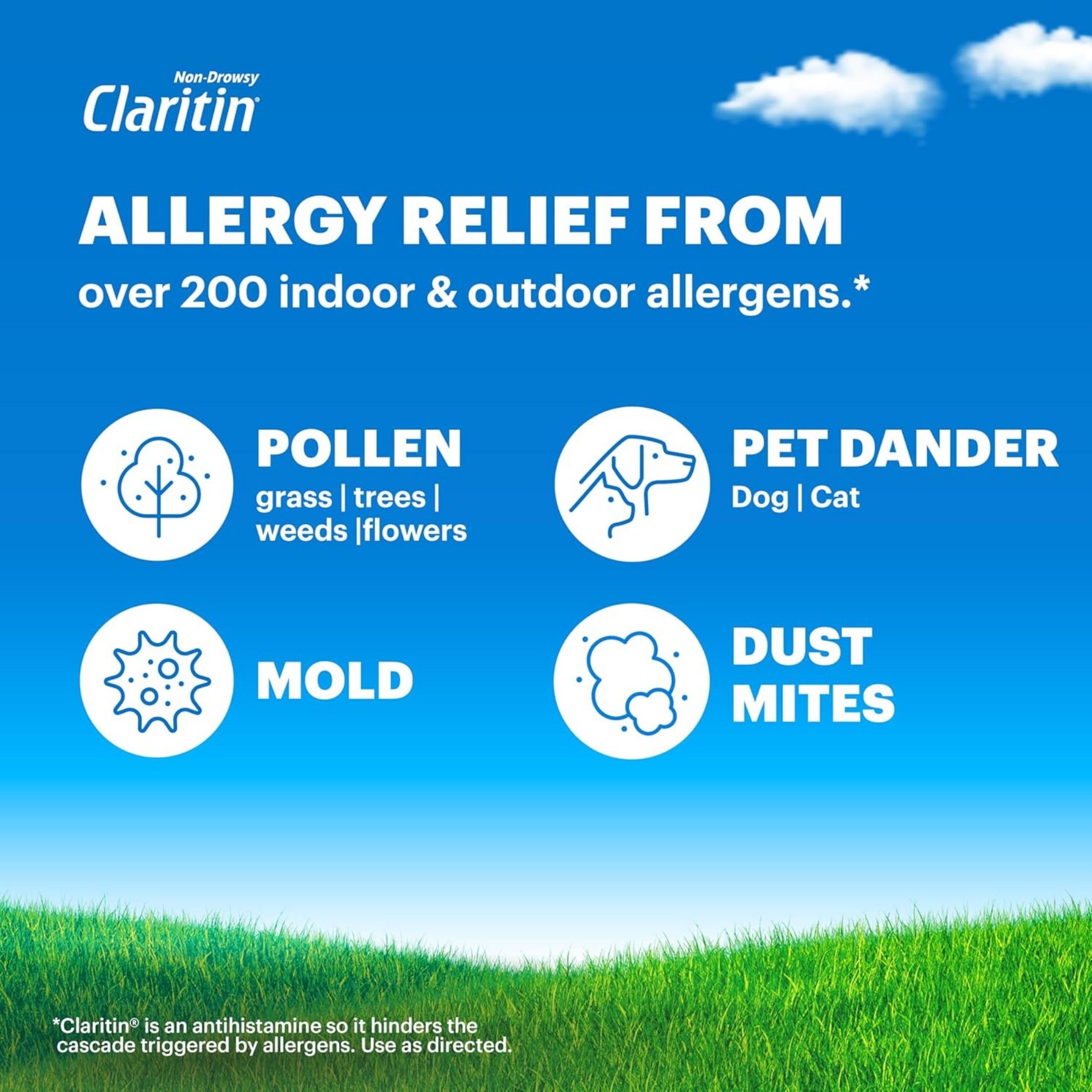Claritin Allergy Relief 24 Hour Non-Drowsy Loratadine Tablets