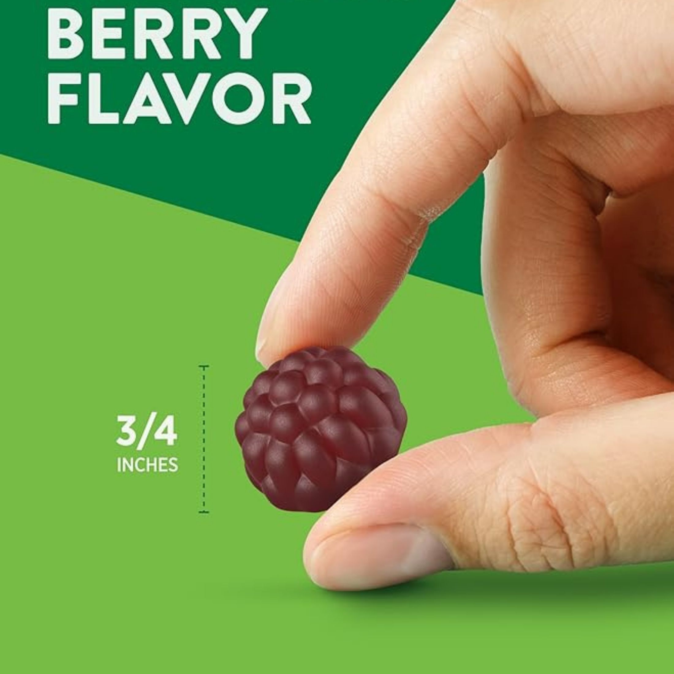 Nature's Truth Sundance Vitamins Black Elderberry Vegan Gummies Natural Berry Flavor