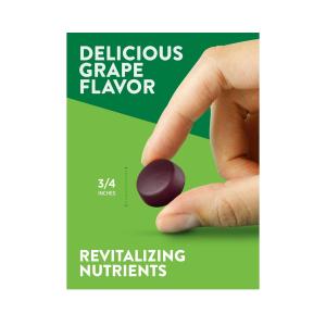 Nature's Truth Essential Iron + B-Vitamins & Zinc Vegan Gummies - Natural Grape Flavor 60ct