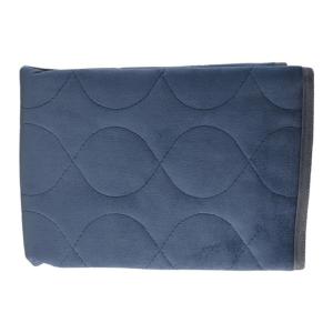 Essential Medical Supply Quik Sorb 20in X 20in Furniture Protector Pad - Blue