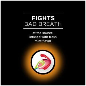 DenTek Comfort Clean, Tongue Cleaner, Fresh Mint