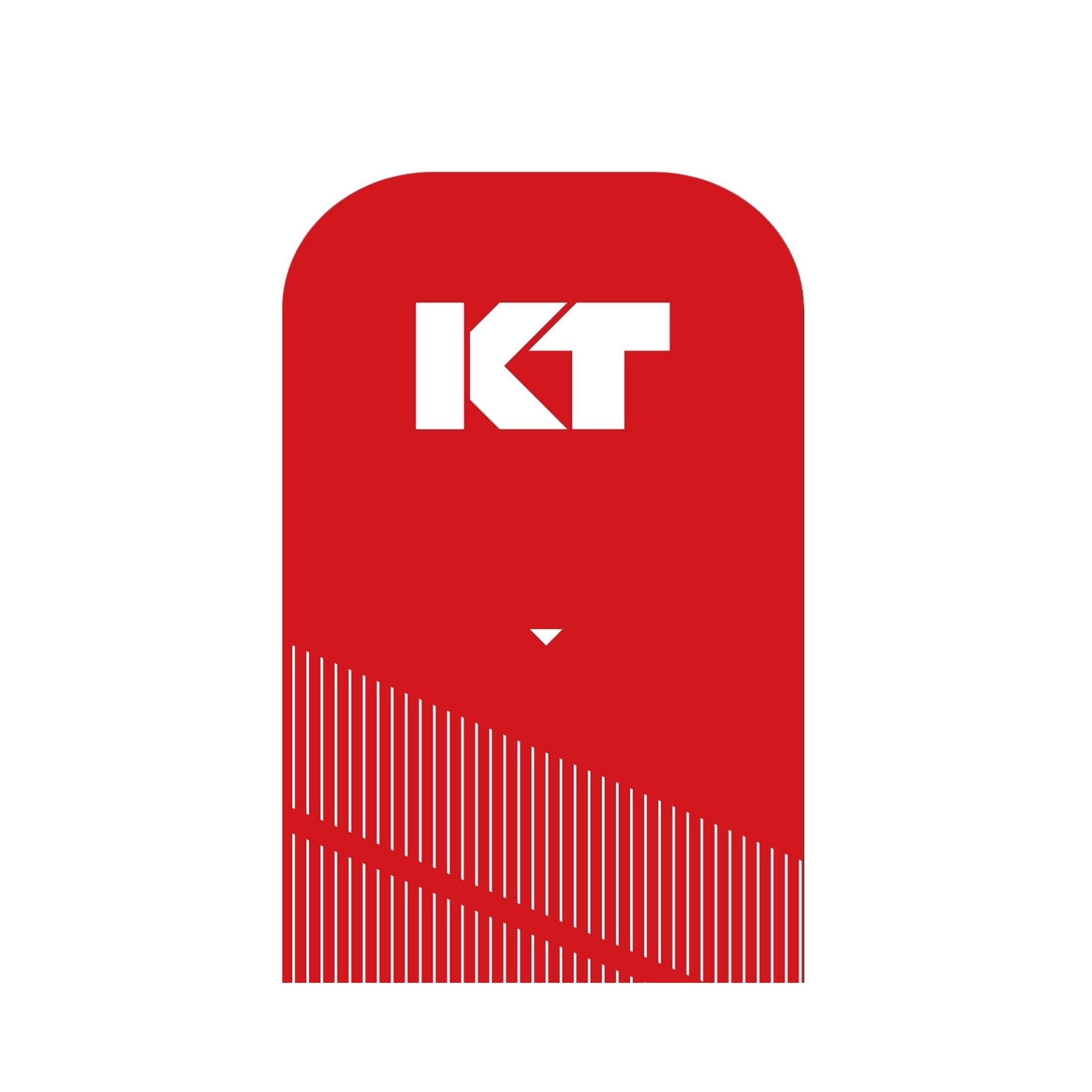 KT Tape Pro Kinesiology Pre-Cut Rage Red