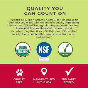 Hyland's Naturals, Organic Apple Cider Vinegar Blast Gummies, Natural Apple, 60 Vegan Gummies