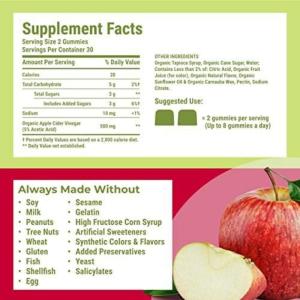 Hyland's Naturals, Organic Apple Cider Vinegar Blast Gummies, Natural Apple, 60 Vegan Gummies