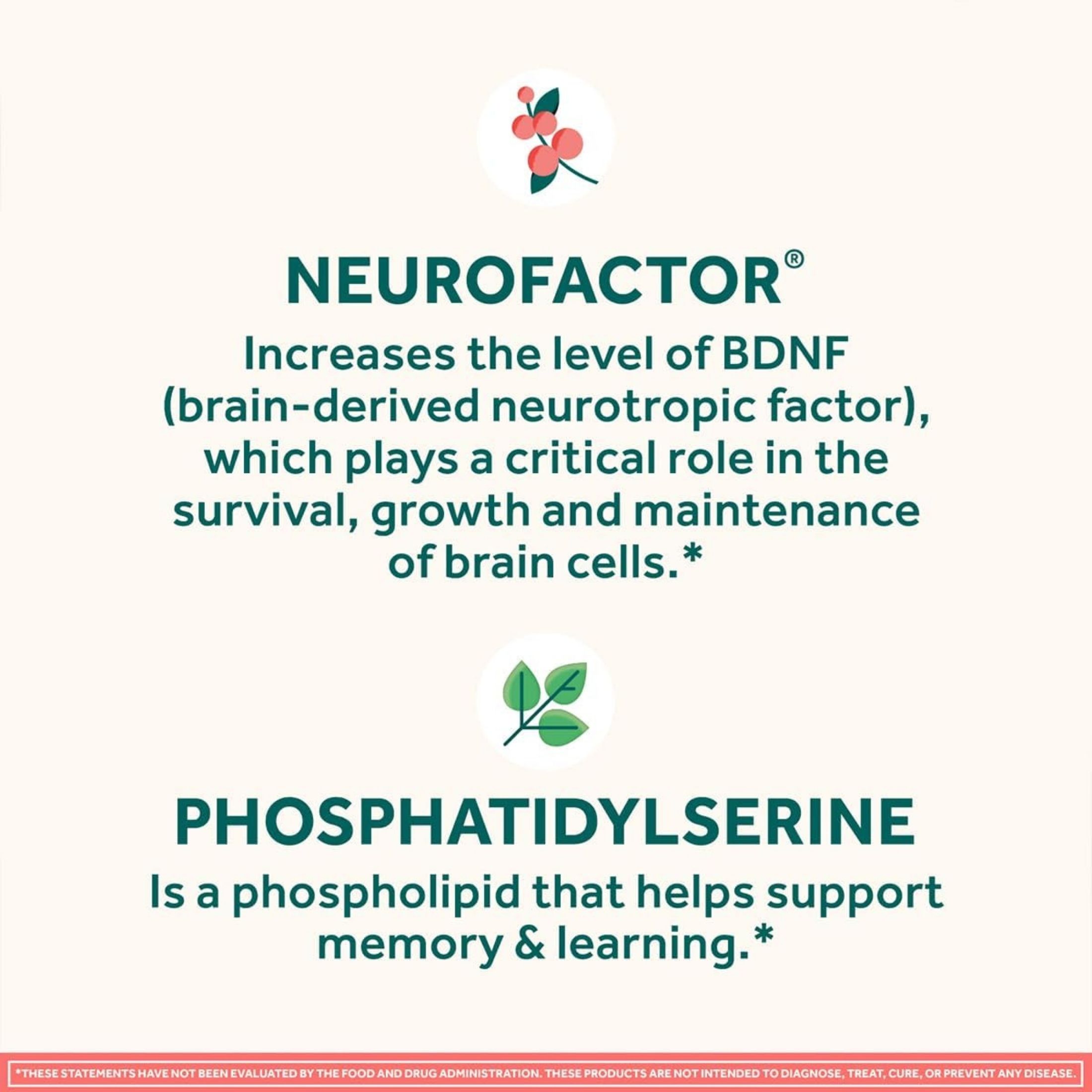 Neuriva Brain Performance, Strawberry Flavored, Original