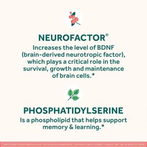 Neuriva Brain Performance, Strawberry Flavored, Original