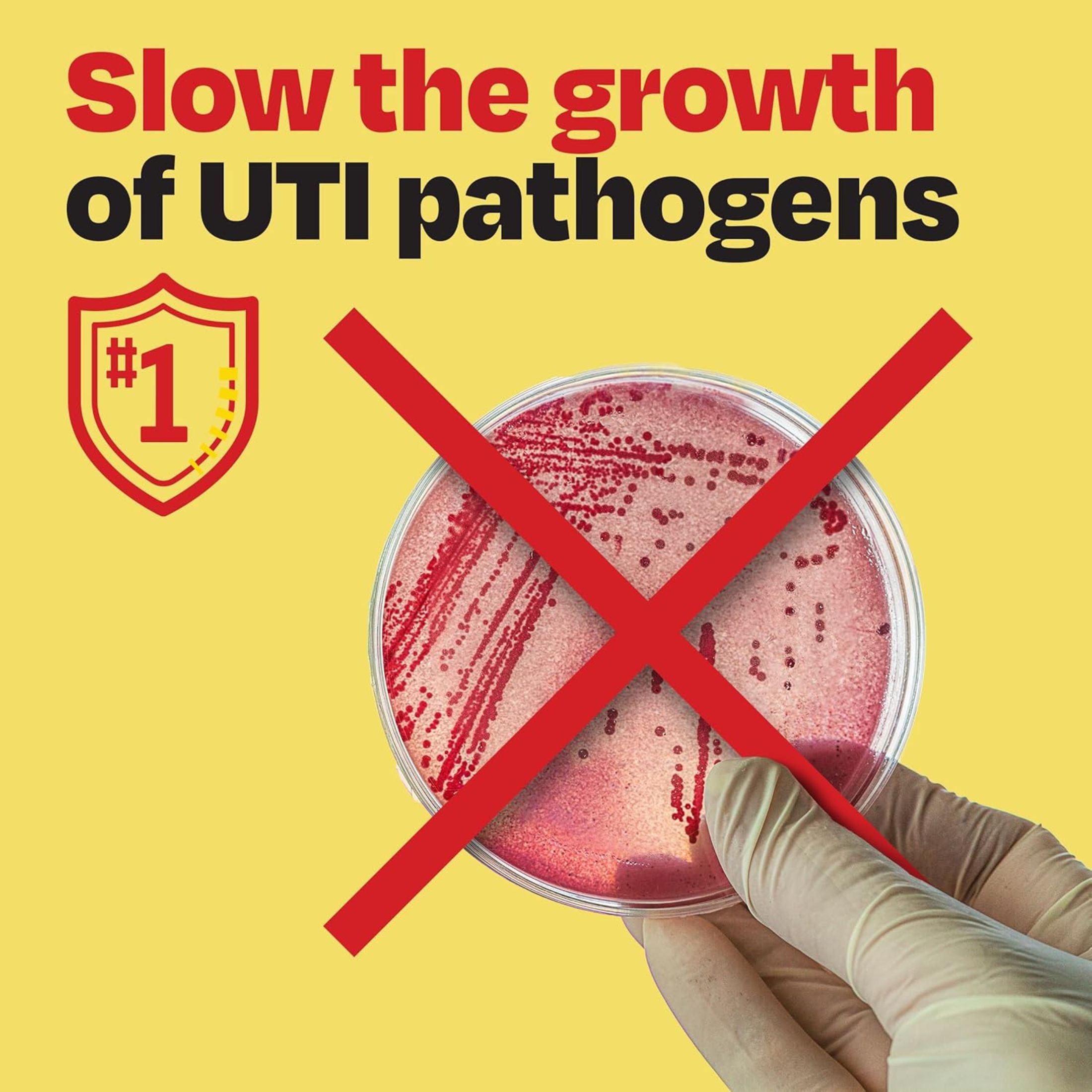 Cystex UTI Bacteria Control Dual Action Pain Relief 48 Tablets