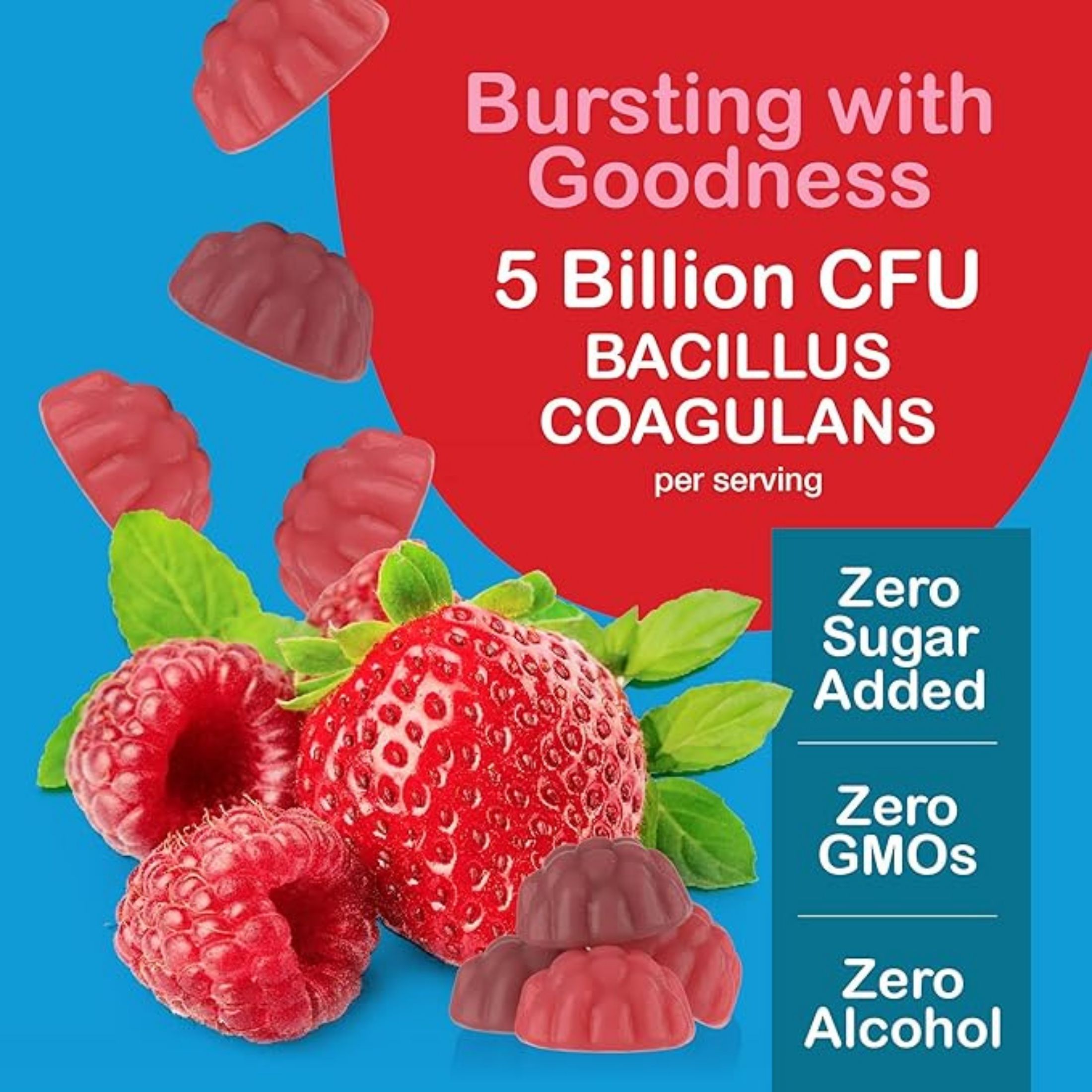 Yum-Vs Vitamins Zero Probiotics -- 60 Gummies