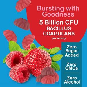 Yum-Vs Vitamins Zero Probiotics -- 60 Gummies