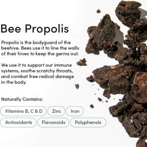 Beekeeper's Naturals Propolis Daily Throat Spray 85 Mg Immune Support