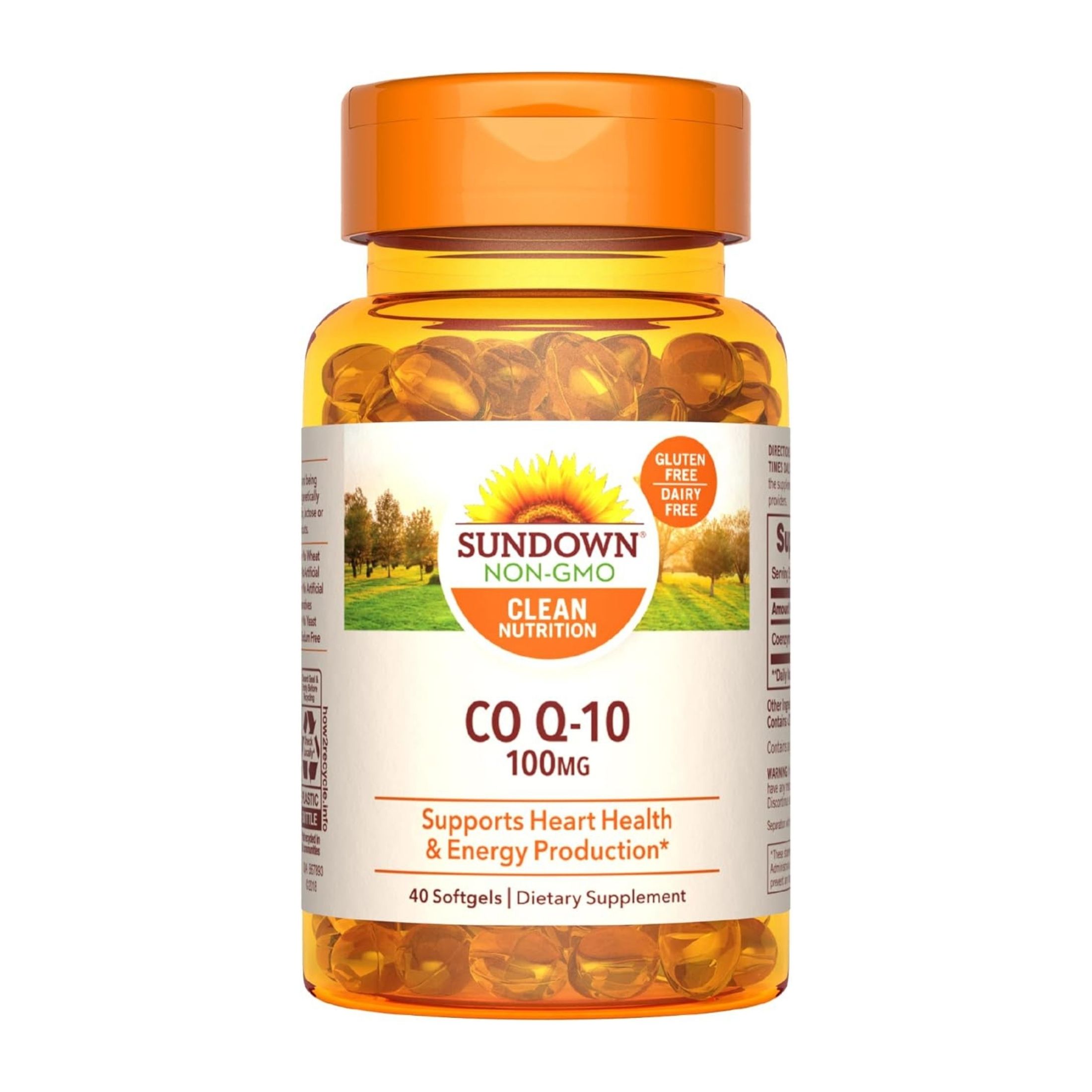Sundown Naturals Co Q10 100 Mg Softgels
