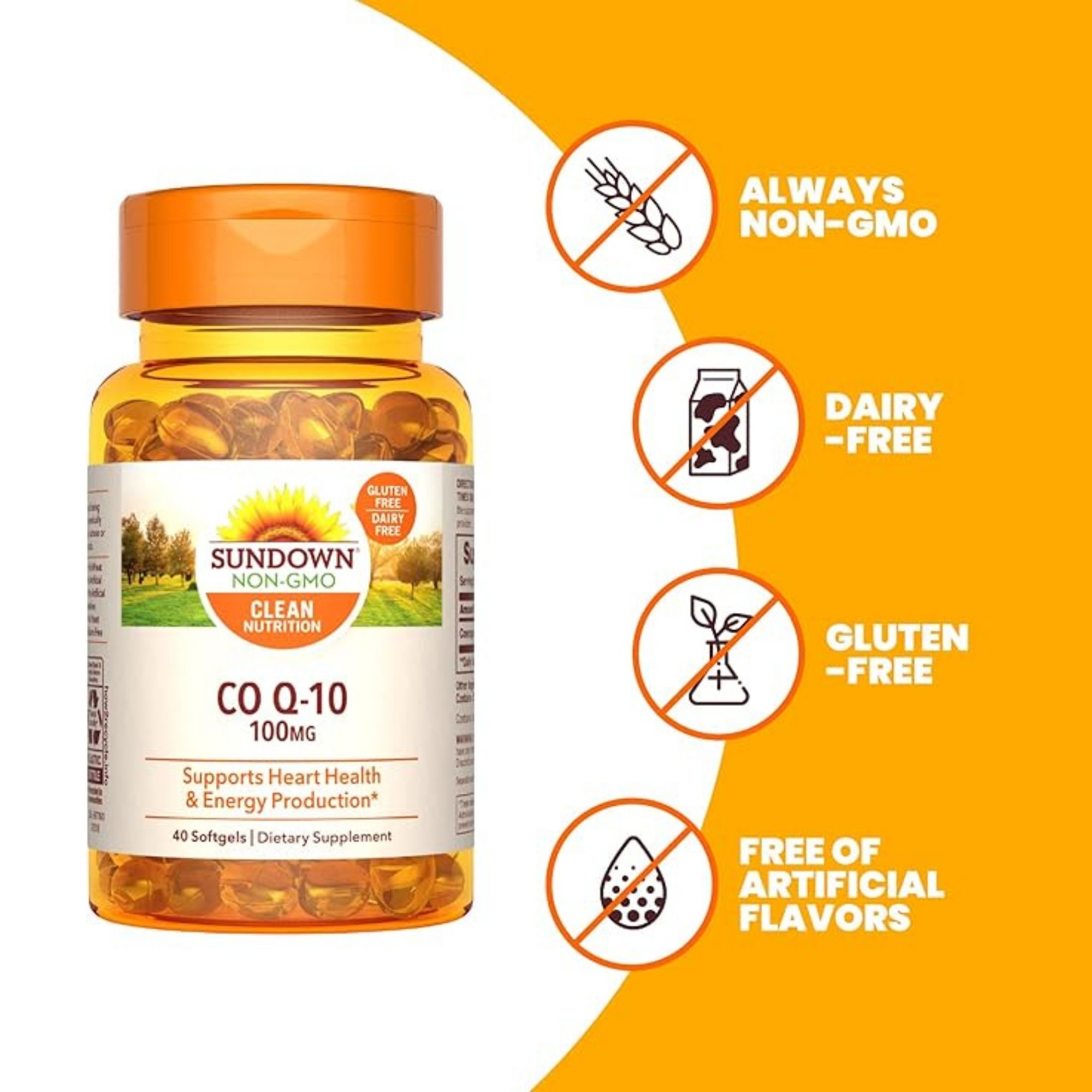 Sundown Naturals Co Q10 100 Mg Softgels