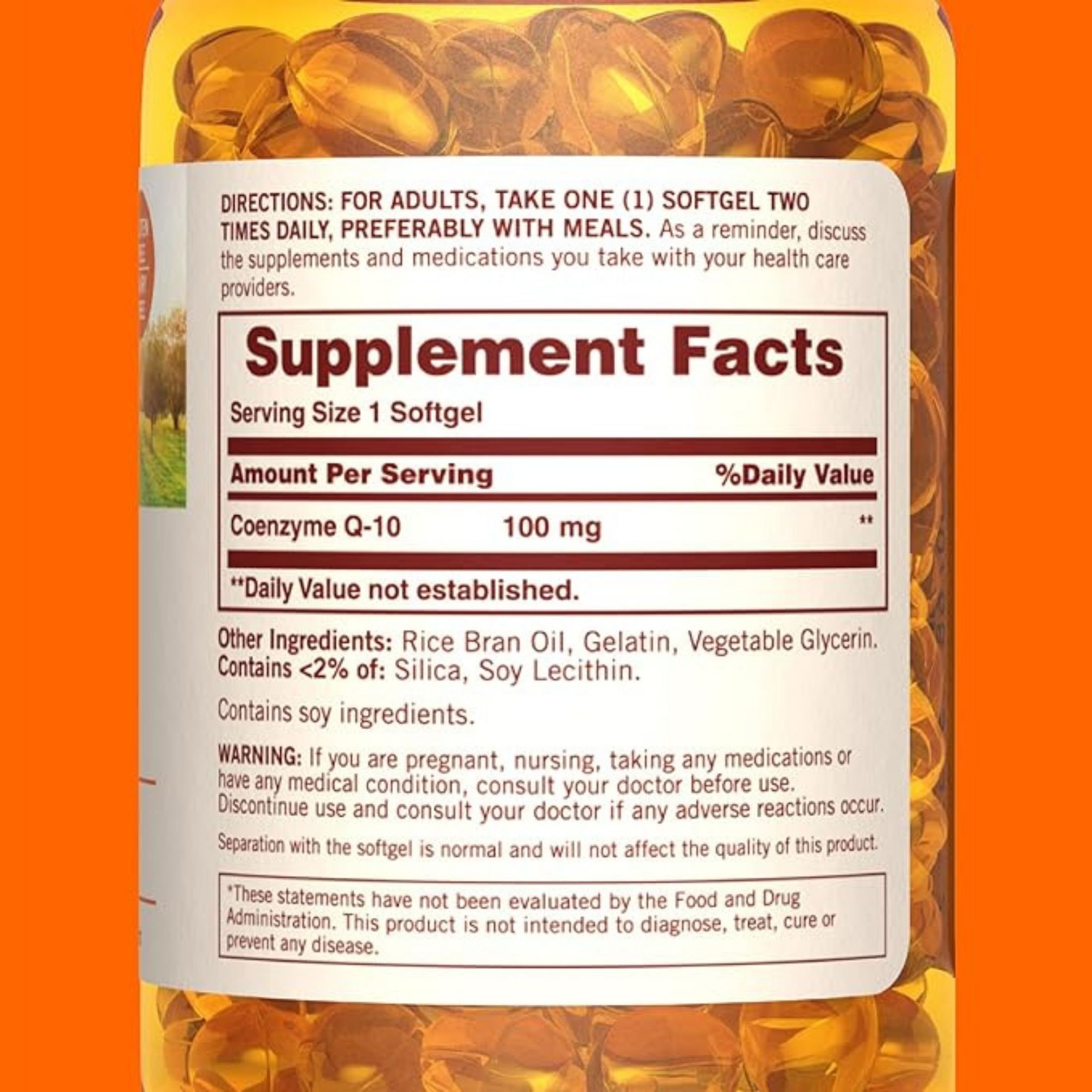 Sundown Naturals Co Q10 100 Mg Softgels