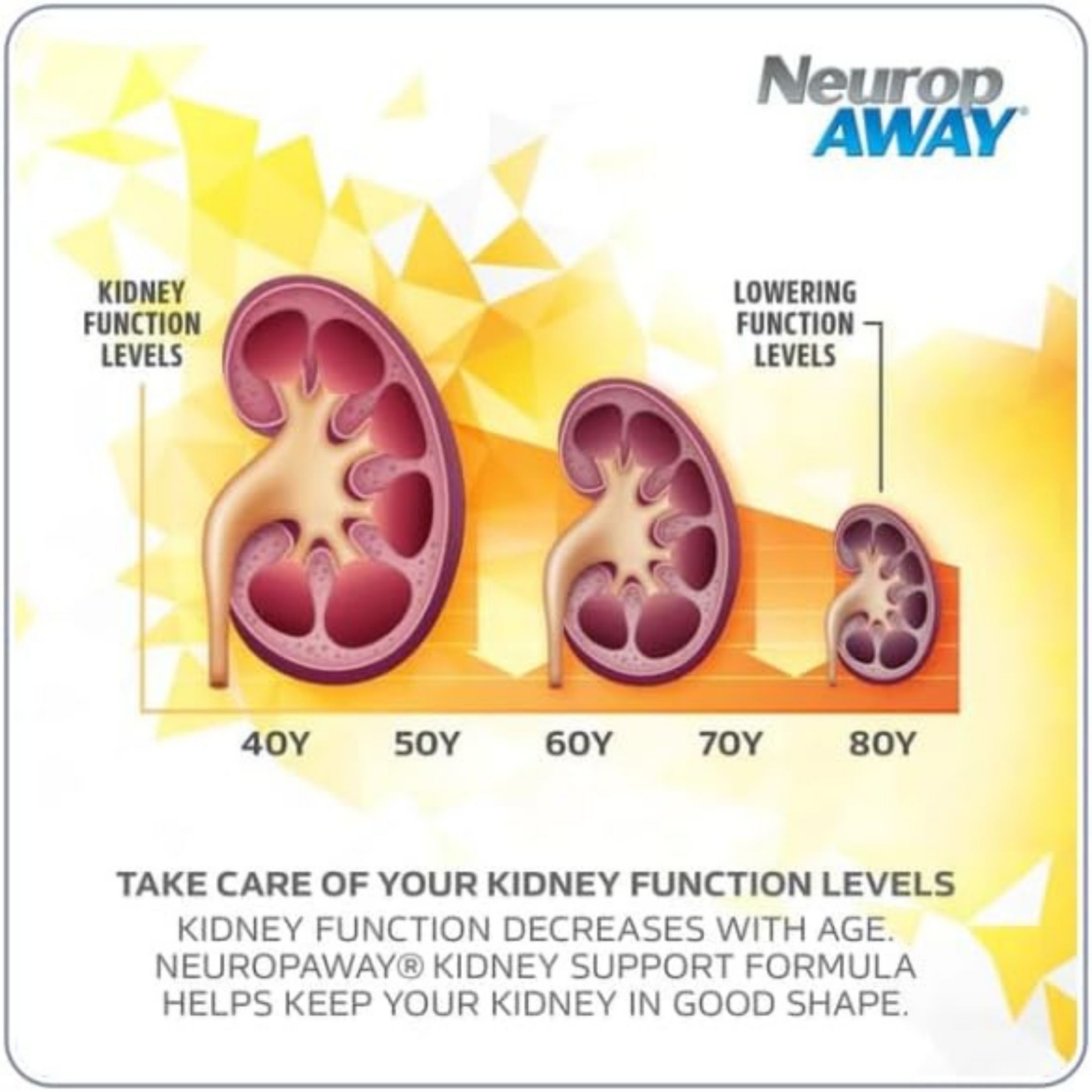 NeuropAWAY Kidney Support Formula - 60 Ct