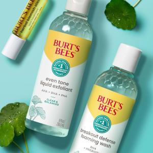 Burt's Bees Herbal Blemish Stick 0.26 Oz
