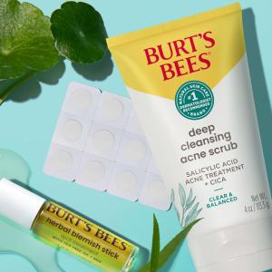 Burt's Bees Herbal Blemish Stick 0.26 Oz