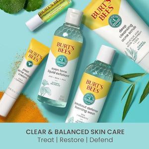 Burt's Bees Herbal Blemish Stick 0.26 Oz