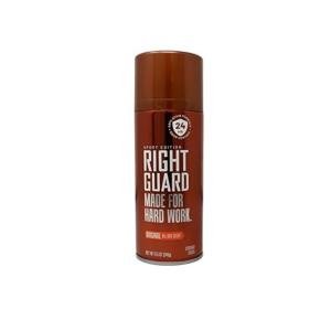 Right Guard Deodorant Aerosol, Original All Day Scent 8.5 Oz
