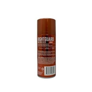 Right Guard Deodorant Aerosol, Original All Day Scent 8.5 Oz