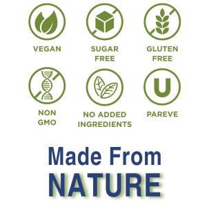 Konsyl Organic Daily Psyllium Fiber -- 12 Oz