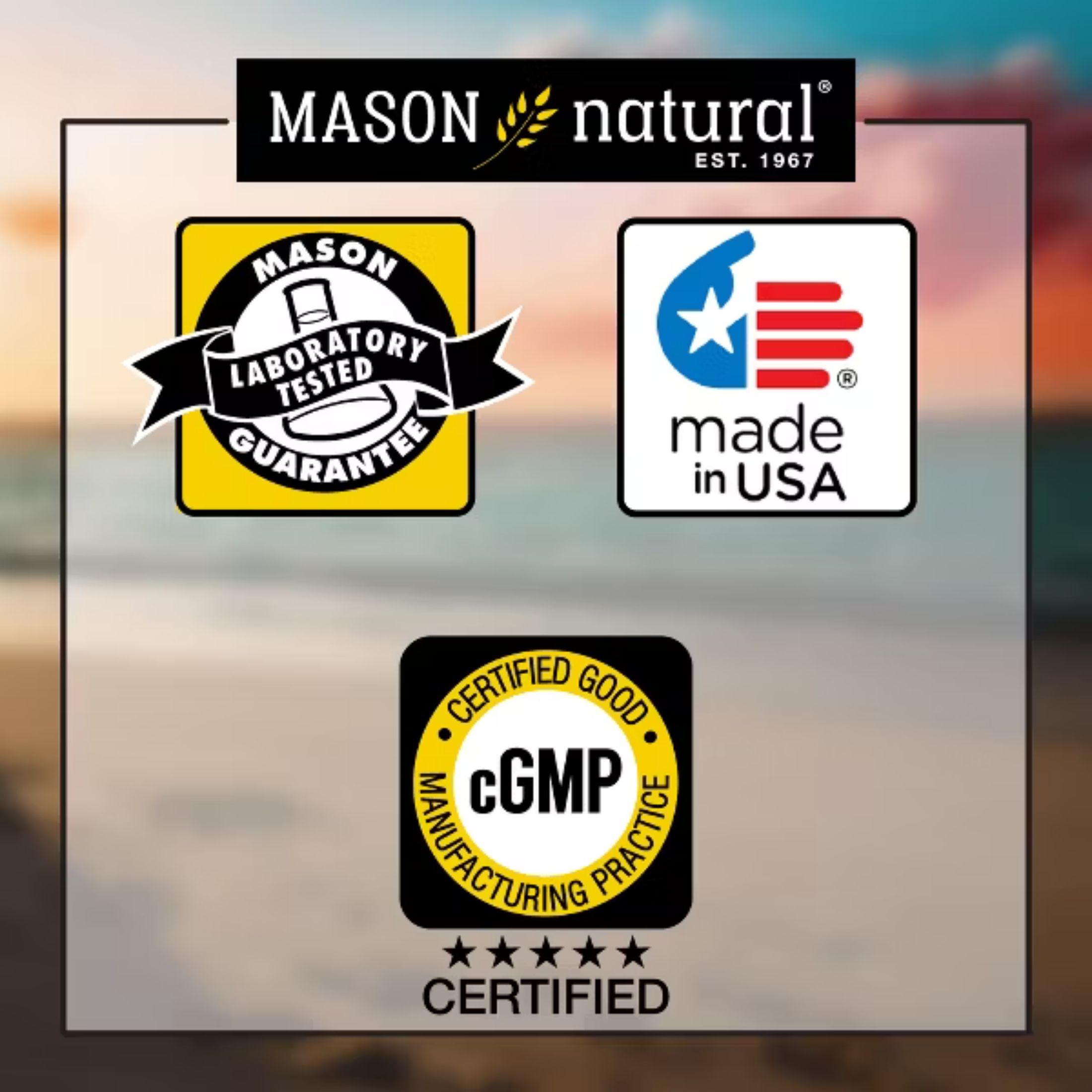 Mason Natural Renal Multivitamin - Suitable For Vegetarians, 100 Caplets