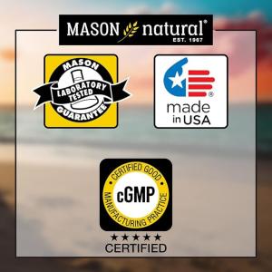 Mason Natural Neuro Complex With Alpha Lipoic Acid - Support Nerve And Brain Function 100 Tablets